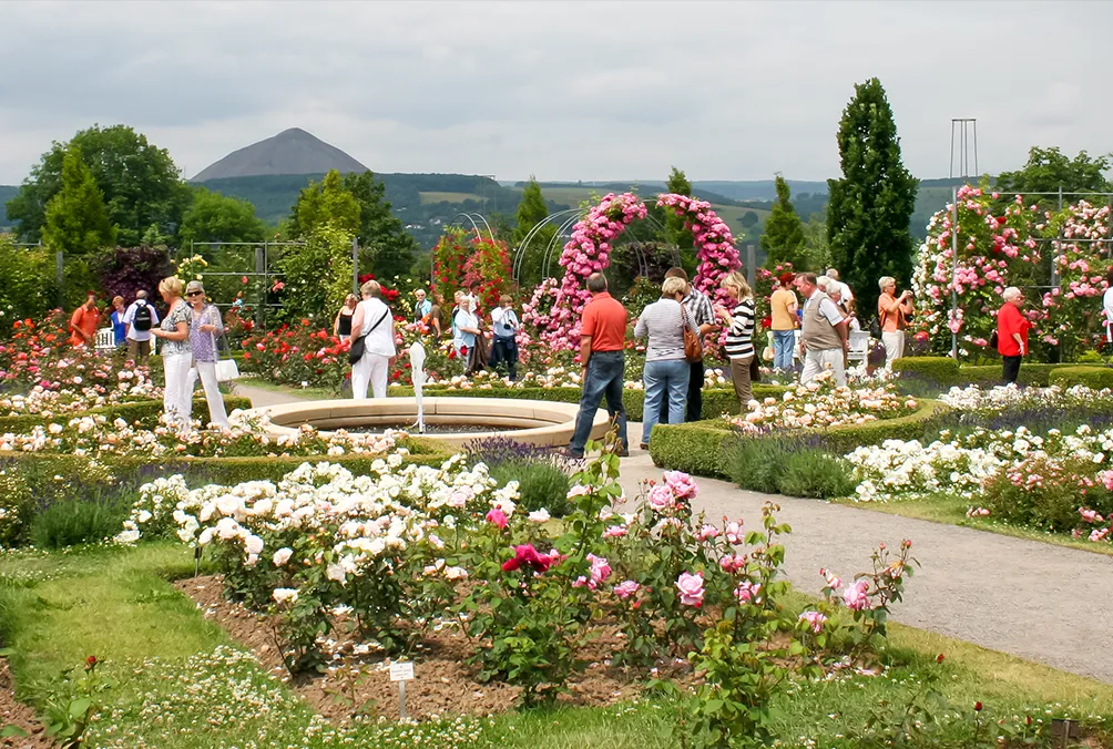 Impression im Rosarium Sangerhausen