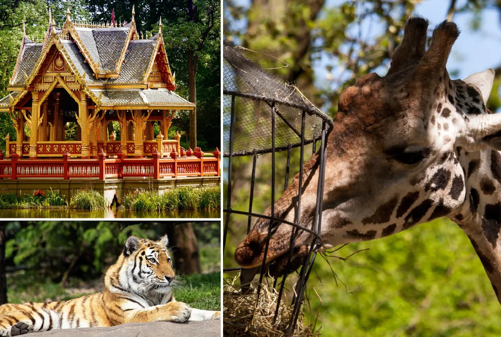 Impressionen aus dem Tierpark Hagenbeck