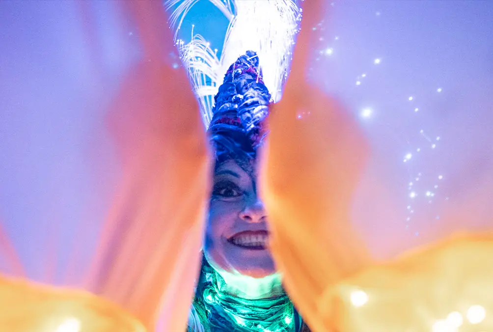 Ein Vorhang wird geöffnet …